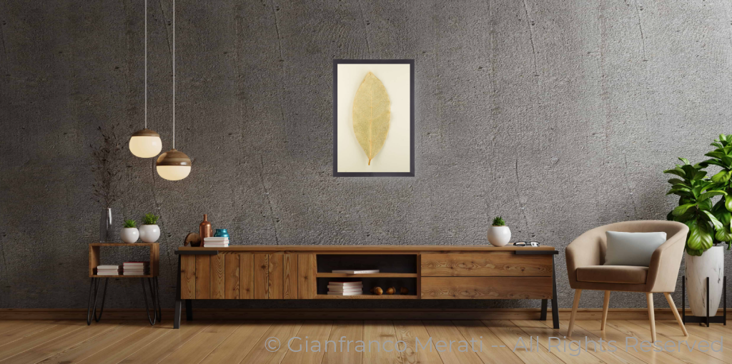Bay Leaf (45 X 30 Cm) 30.00 45 Cm / Black Thin Frame - Glass: Anti-Reflect
