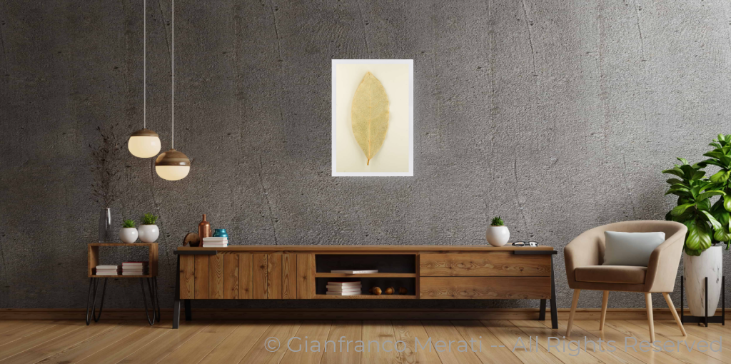 Bay Leaf (45 X 30 Cm) 30.00 45 Cm / White Thin Frame - Glass: Anti-Reflect