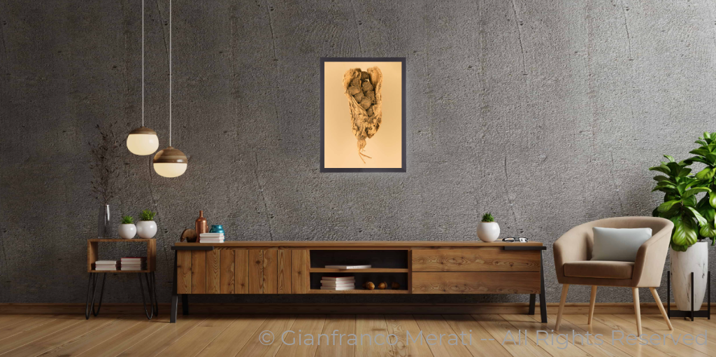 Black Cardamom Pods (32 X 45 Cm) 32.61 Cm / Thin Frame - Glass: Anti-Reflect