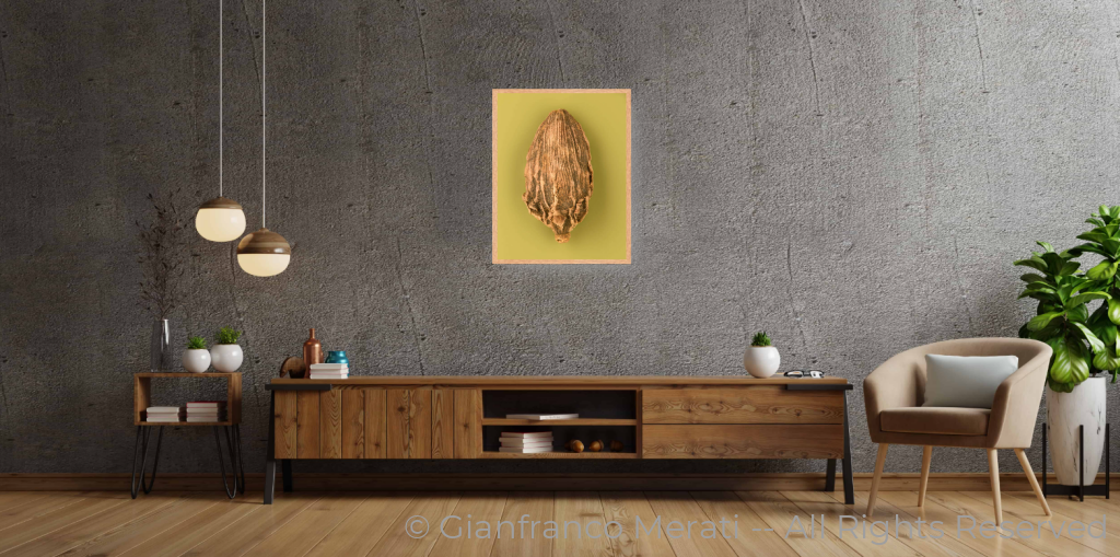 Black Cardamon Pods_2 (45 Cm X 34.66 Cm) 45 / Oak Thin Frame - Glass: None