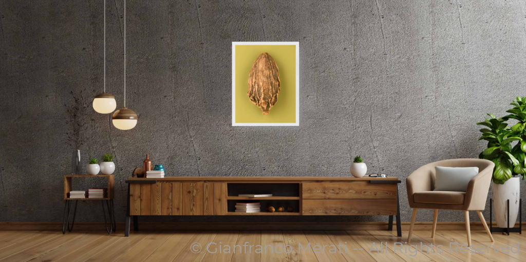 Black Cardamon Pods_2 (45 Cm X 34.66 Cm) 45 / White Thin Frame - Glass: Anti-Reflect