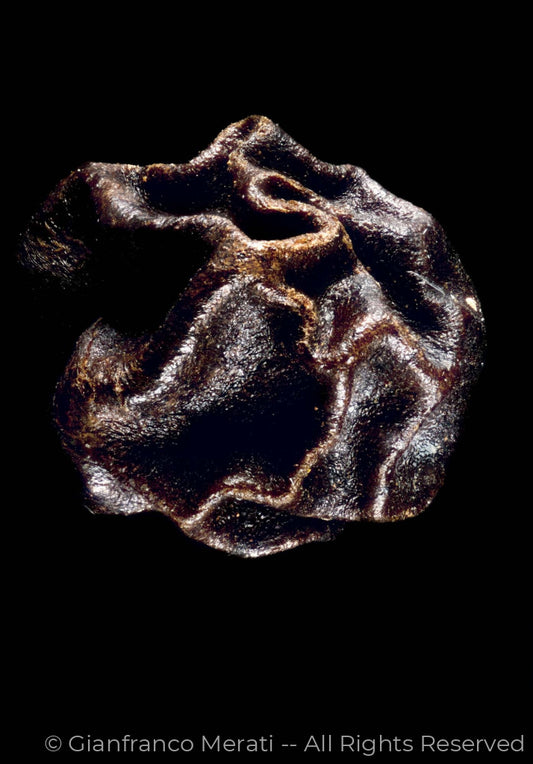Black Peppercorn (45 X 31.39 Cm)