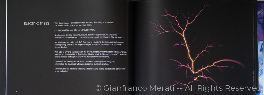 Book - Beauty Is Everywhere