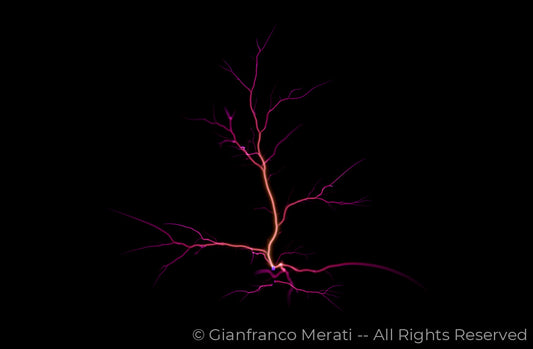 Electric Trees 002 (160.00 X 104.74 Cm)