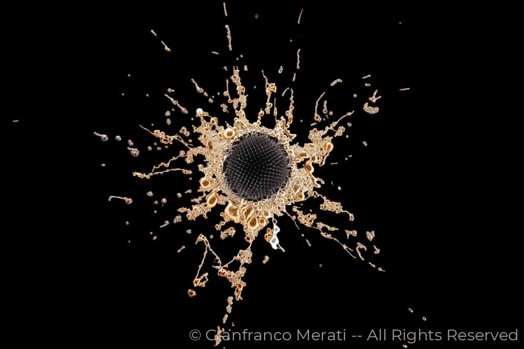 Stars 006 (160.15 X 106.76 Cm) Success