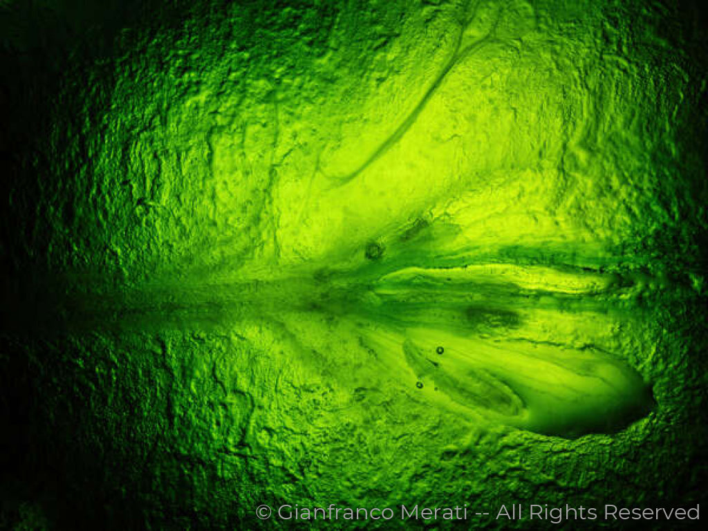 The Goodness Inside 012 (160.15 X 120.09 Cm)