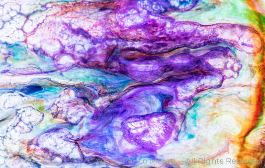 Alchemy Of Life 003 (100 X 63.65 Cm)