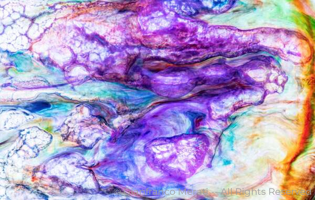 Alchemy Of Life 003 (100 X 63.65 Cm)