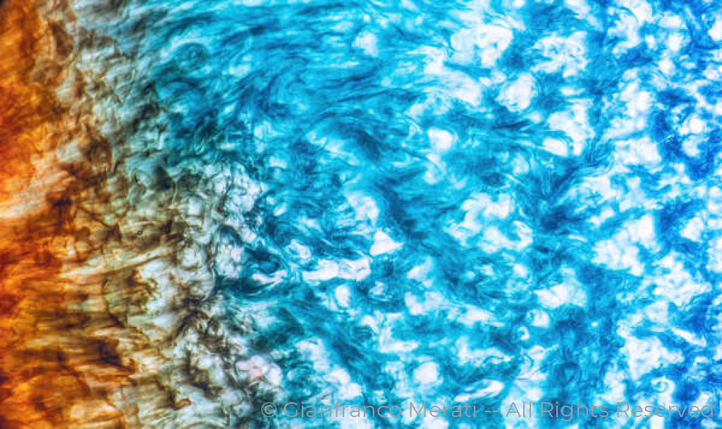 Alchemy Of Life 004 (160.25 X 95.40 Cm)