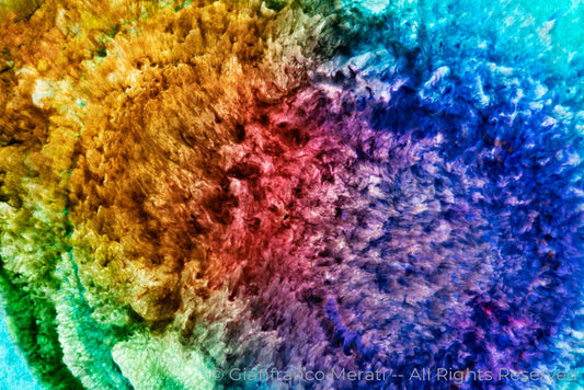 Alchemy Of Life 006 (160.07 X 106.71 Cm)