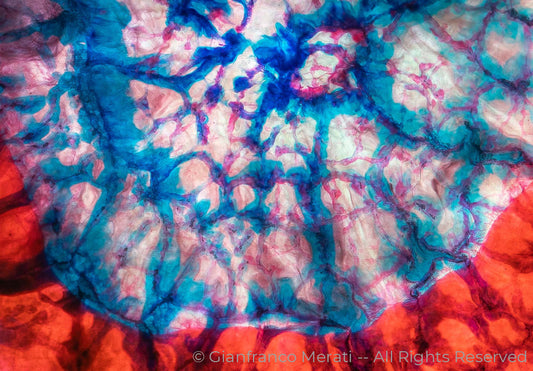 Alchemy Of Life 008 (126 X 87.84 Cm)