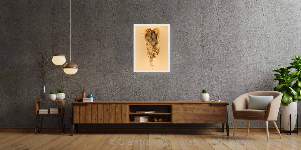 Black Cardamom Pods (32 X 45 Cm) 32.61 Cm / White Thin Frame - Glass: Anti-Reflect