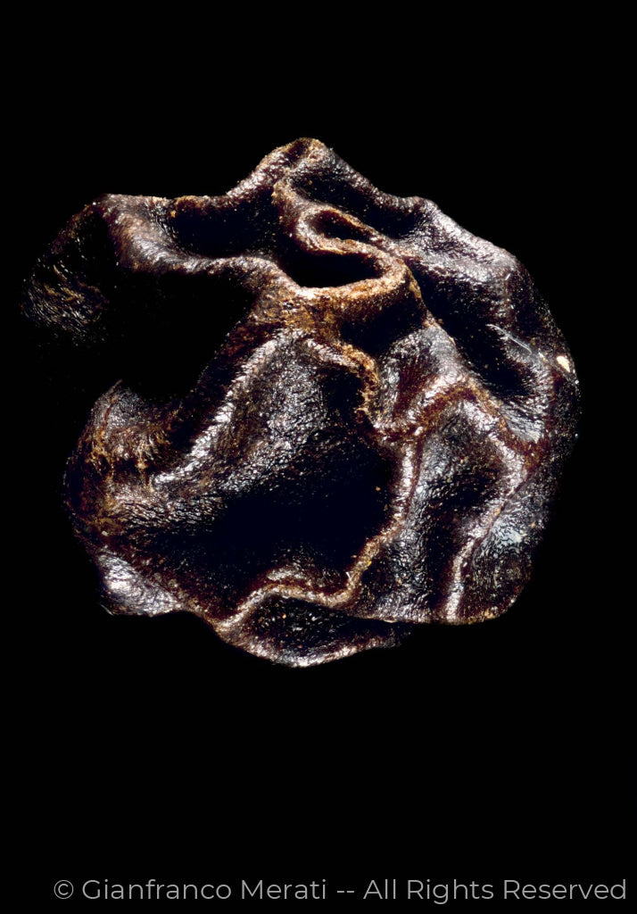 Black Peppercorn (45 X 31.39 Cm)