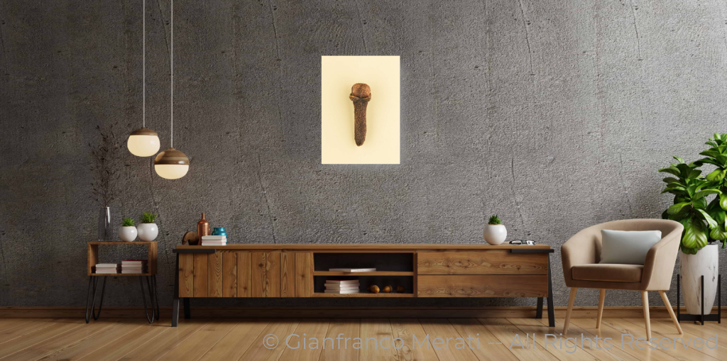 Cloves (45 X 32.62 Cm)