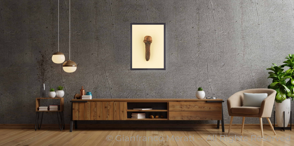 Cloves (45 X 32.62 Cm) 45 Cm / Black Thin Frame - Glass: Anti-Reflect