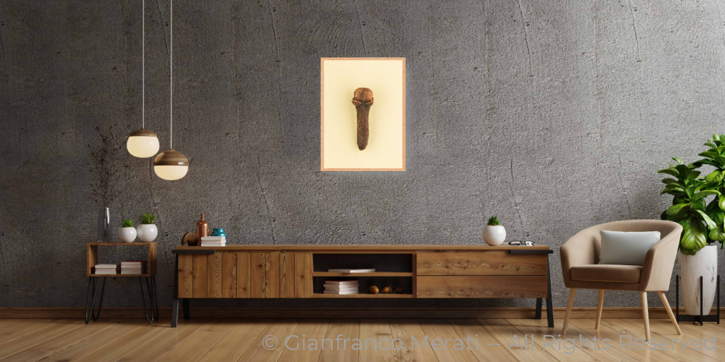 Cloves (45 X 32.62 Cm) 45 Cm / Oak Thin Frame - Glass: Anti-Reflect