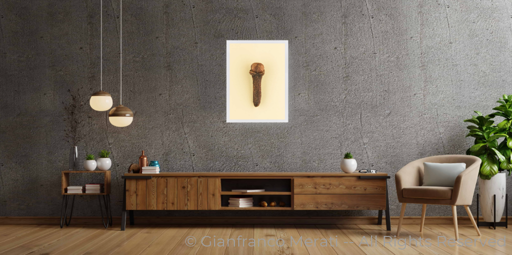 Cloves (45 X 32.62 Cm) 45 Cm / White Thin Frame - Glass: Anti-Reflect