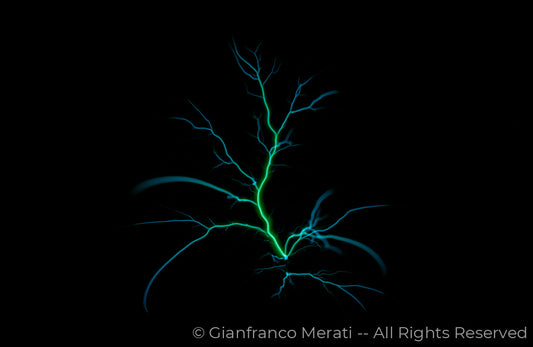 Electric Trees 001 (160.00 X 104.01 Cm)