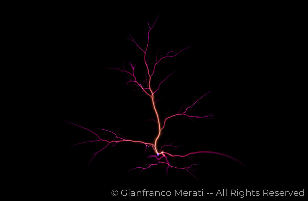 Electric Trees 002 (160.00 X 104.74 Cm)