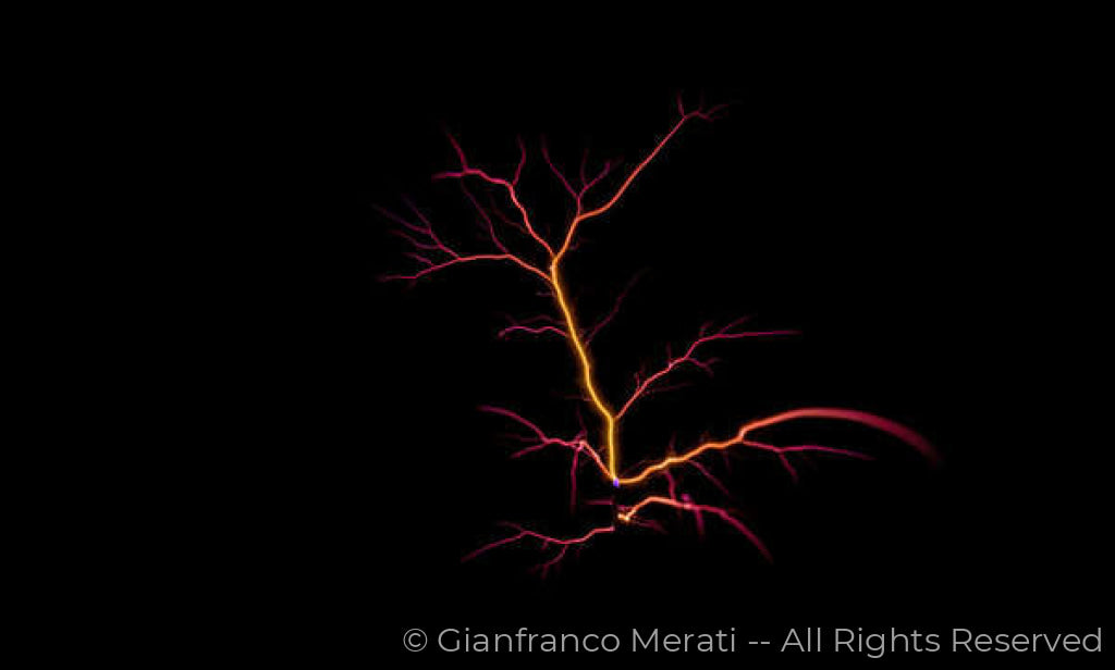 Electric Trees 003 (160.76 X 96.80 Cm)