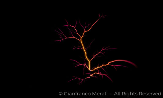 Electric Trees 003 (160.76 X 96.80 Cm)