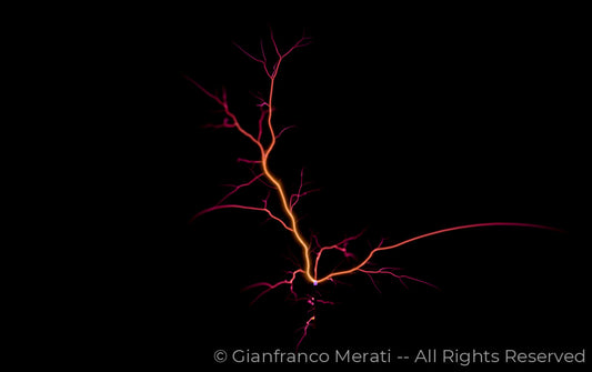 Electric Trees 004 (160.76 X 100.94 Cm)