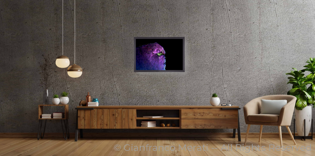 Gfm_2080-2 (45 Cm X 30 Cm) 45 / Black Thin Frame - Glass: Anti-Reflect