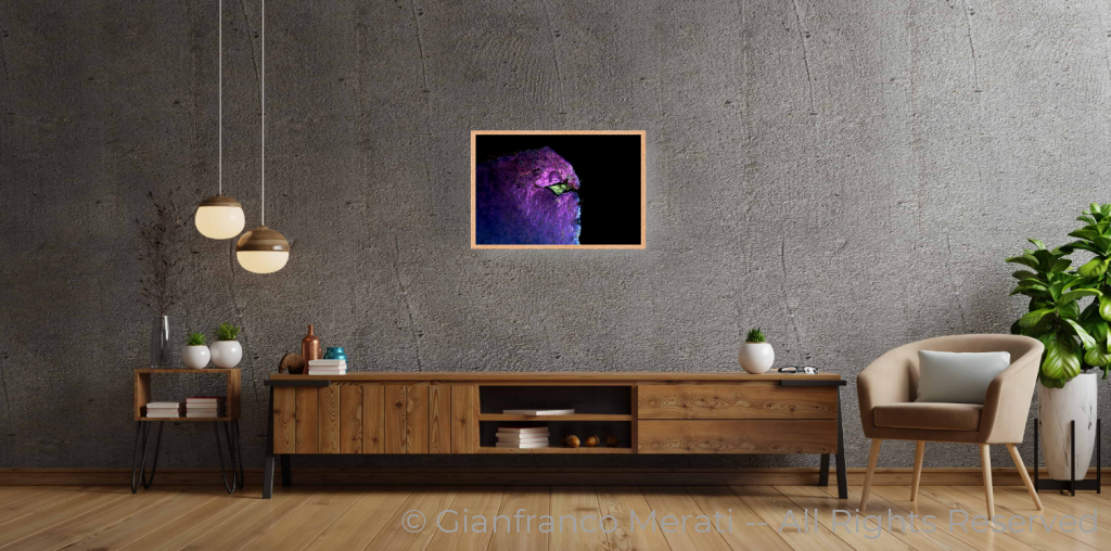 Gfm_2080-2 (45 Cm X 30 Cm) 45 / Oak Thin Frame - Glass: Anti-Reflect