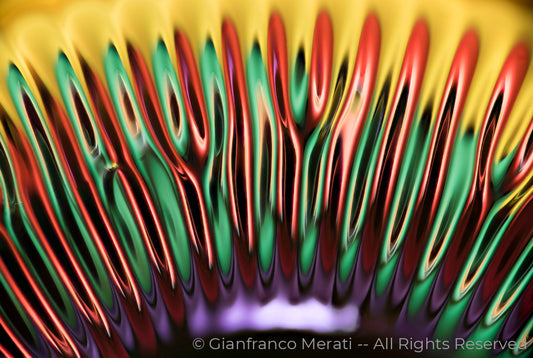 Metallic Flowers 002 (160.15 X 107.52 Cm)