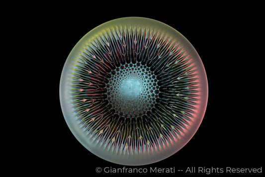 Metallic Flowers 003 (160.15 X 106.76 Cm)