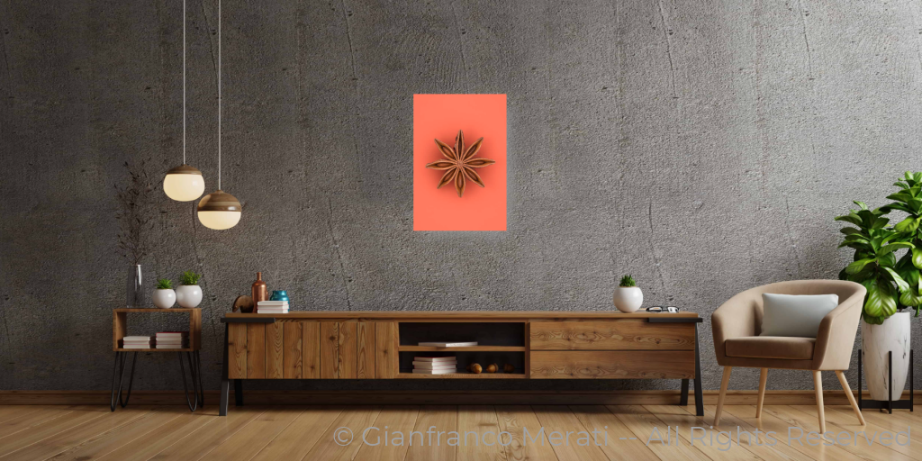 Star Anice2 (45 Cm X 30.65 Cm)