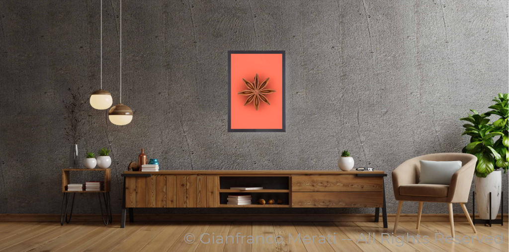 Star Anice2 (45 Cm X 30.65 Cm) 45 / Black Thin Frame - Glass: Anti - Reflect