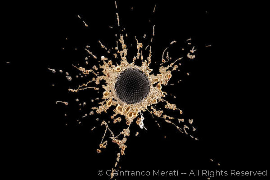 Stars 006 (160.15 X 106.76 Cm) Success