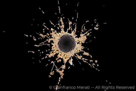 Stars 006 (160.15 X 106.76 Cm) Success