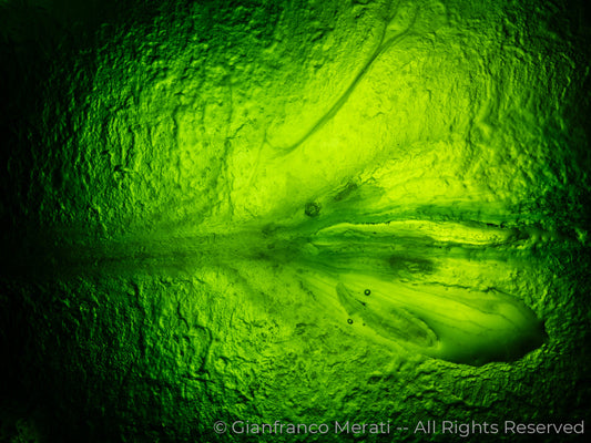 The Goodness Inside 012 (160.15 X 120.09 Cm)